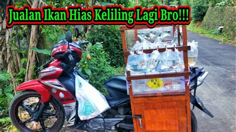 Jualan Ikan Hias Keliling Lagi Bro Salam Bakul Iwak Youtube