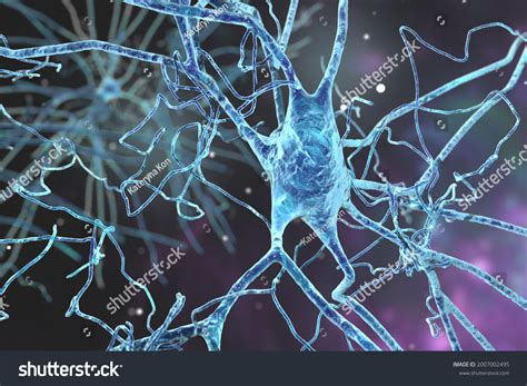 37251 Neurologic Diseases Immagini Foto Stock E Grafica Vettoriale