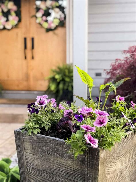 How to Use Flowers that Bloom All Summer in Your Porch Decor - Grace In
