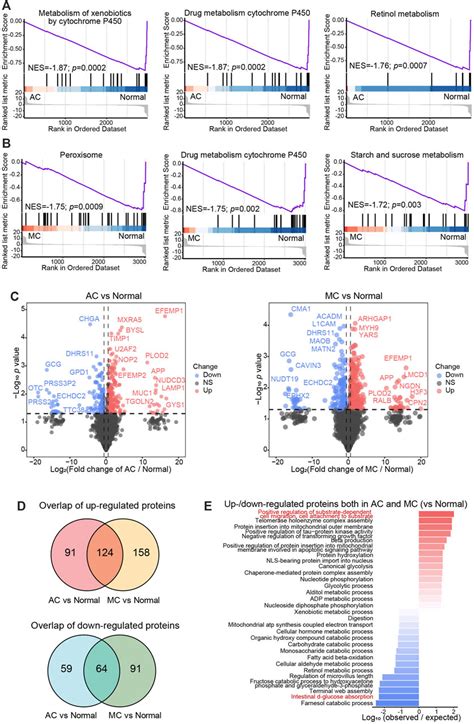 Frontiers Molecular Characterization Of Colorectal Mucinous