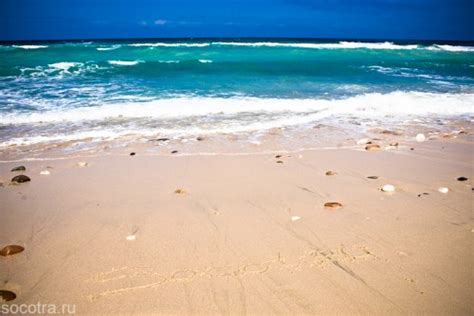 Wild beaches in Socotra