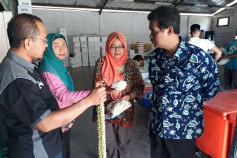 Kementan Dorong Jateng Tingkatkan Ekspor Melati Republika Online