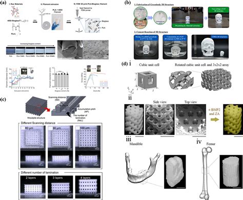 D Printed Bioceramics In Bone Repair A Different Ratios Of Pla And Bg