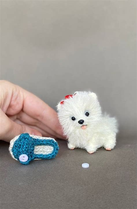 Miniature Pomeranian puppy Holly by Nataliia Ivanova💛💙 | Tedsby