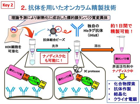 オンカラム精製技術 千葉大学大学院理学研究科附属 膜タンパク質研究センター