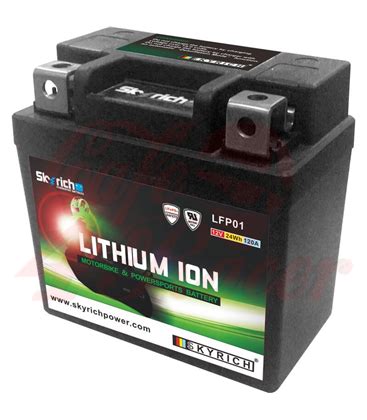 Skyrich Lithium Ion Battery LFP01