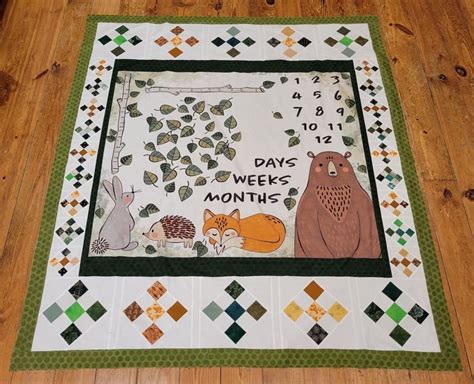 Pin By Pauline McCauley On Quilts Using Panels Panel Quilt Patterns