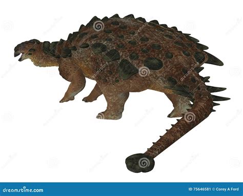 Pinacosaurus Clipart And Illustrations