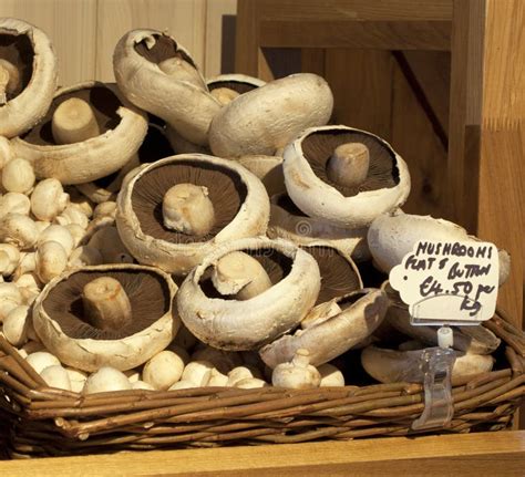 Корзина грибов в близости стоковое изображение. изображение ...