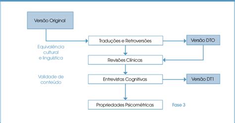 Fluxograma Do Processo De Tradu O Retrovers O Revis Es E Entrevistas