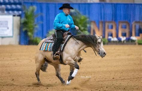 International Horse Press - Gina Schumacher Pilots Gunnastepya to First ...