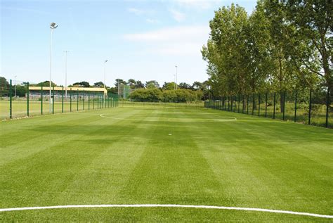 3g Artificial Turf 3g Synthetic Grass Synthetic Grass Synthetic