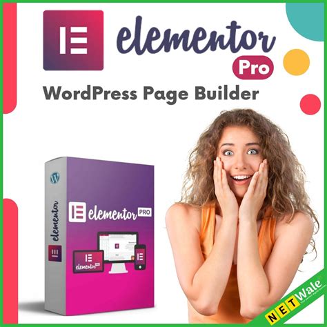 Elementor Pro Wordpress Page Builder Netwale