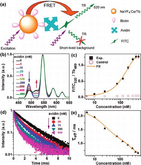 A Schematic Illustration Showing The Principle Of The Tr Fret Download Scientific Diagram