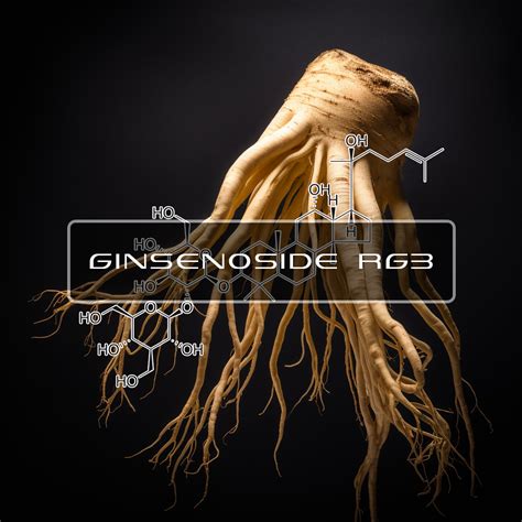 Ginsenoside Rg Source Interstellar Blends Activate Your Super Powers