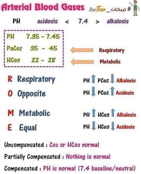 Acidosis Alkalosis Nursing School Survival Nursing School Nursing