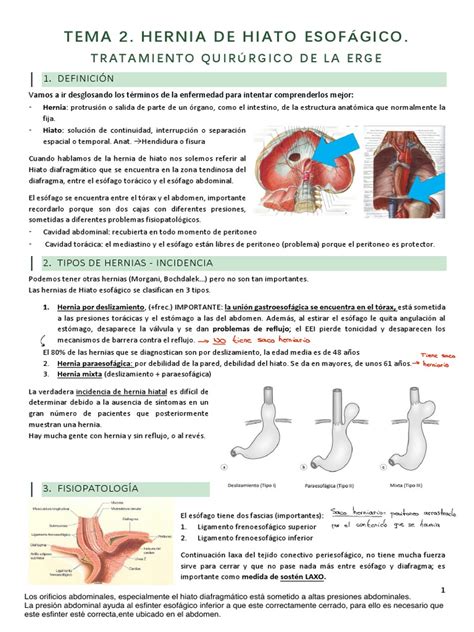 Cirugía De La Hernia De Hiato Pdf La Enfermedad Por Reflujo