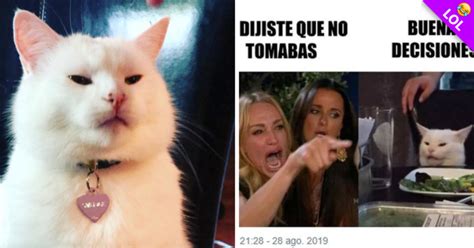 De dónde salió el meme del gato en la mesa Checa la historia