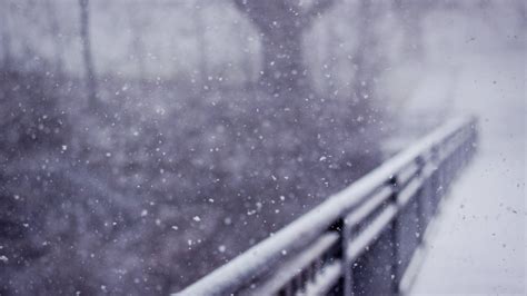 Fondos De Pantalla Monocromo Profundidad De Campo Invierno Azul