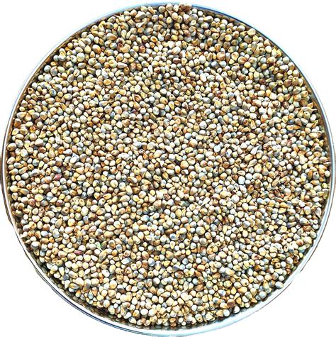 Buy Nirishree Bird Feeder Pearl Millet Bajra Sajje Kambu Bird Food