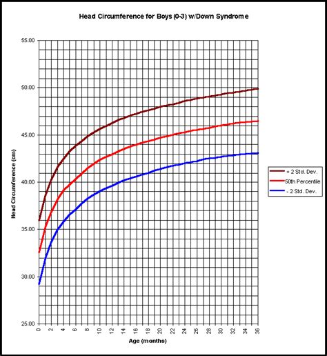 Fetal Growth Chart Head Circumference: A Visual Reference of Charts ...