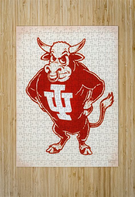 Vintage Indiana Bison Mascot Art - Row One Brand