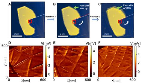 Tuning The Ferroelectric Domain Structure Of Twisted Double Layer HBN