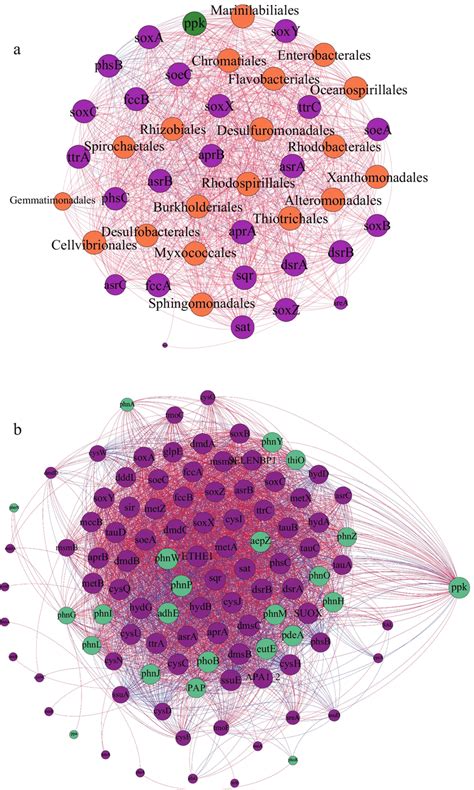 Network visualization. (a) The functional genes and bacterial taxa, and ...
