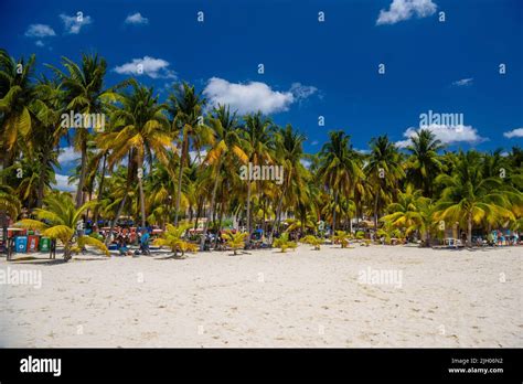 Playa De Arena Blanca Con Palmeras De Coco Isla Mujeres Island Mar