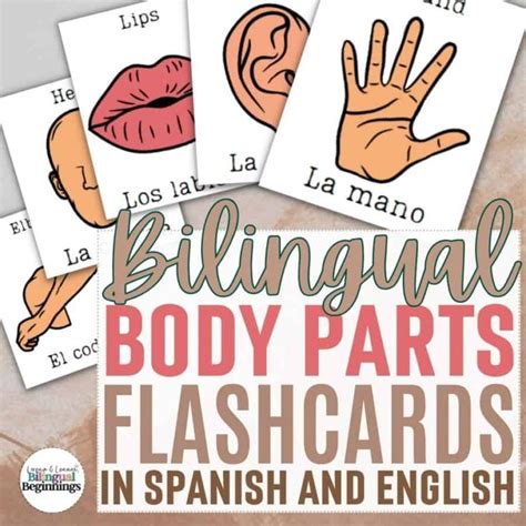 Bilingual Body Parts Flashcards Printable in Spanish and English ...