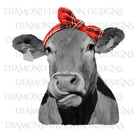 Cows Heifer Image Cute Cow With Red Plaid Bandana Cowlick Cow