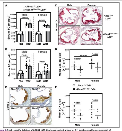 Figure From Specific Loss Of Abca Atp Binding Cassette Transporter