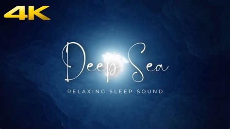 Deep Sea Ocean Ambience Marine Life Sound Relaxation Focus Deep