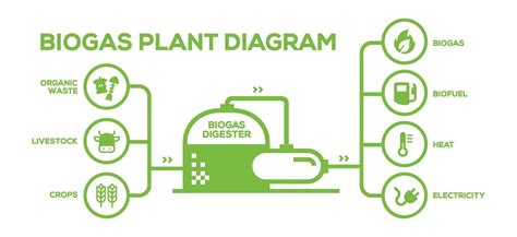 Simple Biogas Plant Diagram Biogas Production Phases Illustrated Educational Plan From Farming