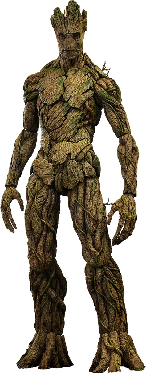 Groot Png Transparent Image Download Size 480x1226px