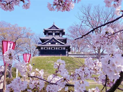 高田城三重櫓 【公式】上越観光navi 歴史と自然に出会うまち、新潟県上越市公式観光情報サイト