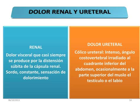 13 Semiología Del Sistema Génito Urinario 1 Ppt