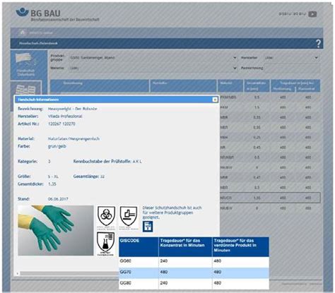 Umwelt Online Dguv Regel Umgang Mit Reinigungs Und