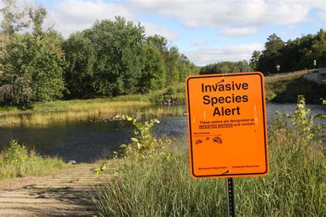 Unprecedented Rise In Invasive Species According To The UN Geographical