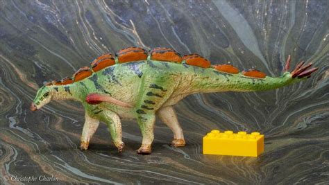 Wuerhosaurus - Toy Animal Wiki