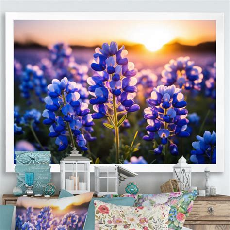 Red Barrel Studio Blue Bonnets Field Photo I Framed On Canvas Print