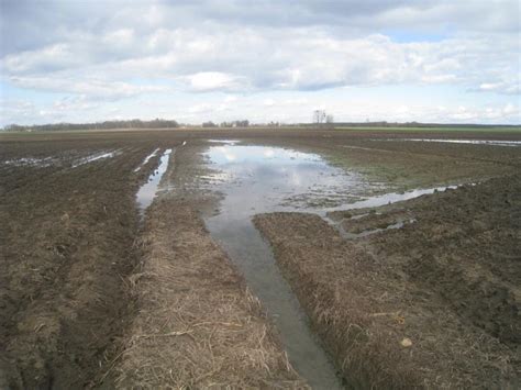 Halászat halastó tógazdaság Fórum Agroinform hu