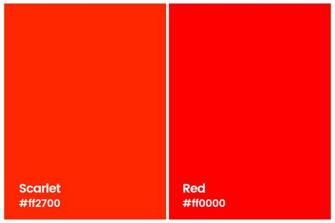 All You Want To Know About Scarlet Color Meaning Combinations And