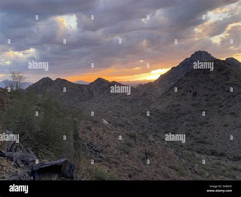 Phoenix Mountains Preserve, sunset, Sonoran desert, Arizona Stock Photo ...