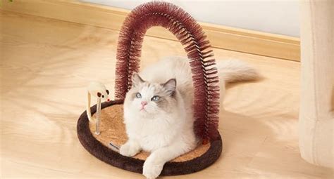 Amazon Happi N Pets The Original Cat Arch Self Groomer Cat