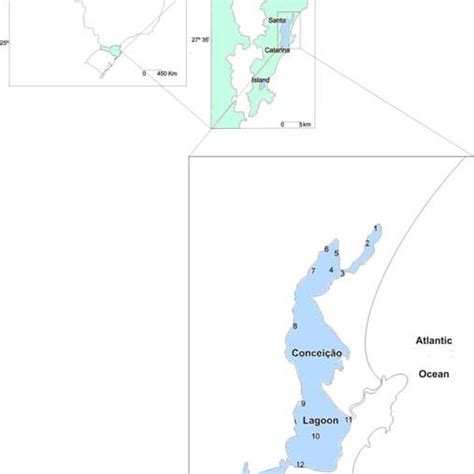 Localization of Conceição Lagoon and sampling sites. | Download ...