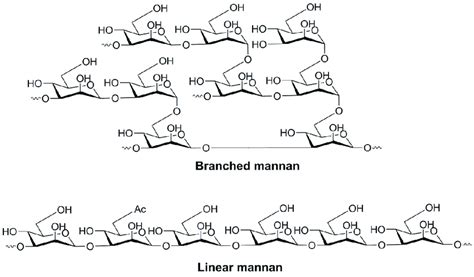 branched  linear forms  mannan  scientific diagram