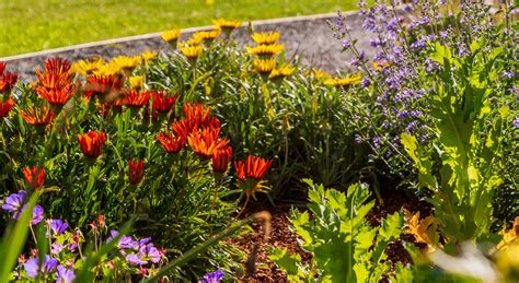 Marvel at the Beauty When You Visit the Mendocino Botanical Gardens