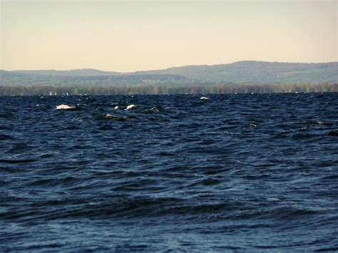 Oneida Lake Chronicles: Oneida Lake This Morning