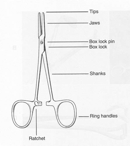 Surgical Instruments Flashcards Quizlet